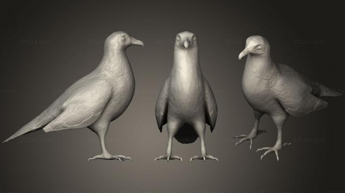 Animal figurines (Vulture, STKJ_1608) 3D models for cnc